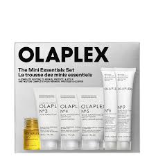 The Mini Essentials Set